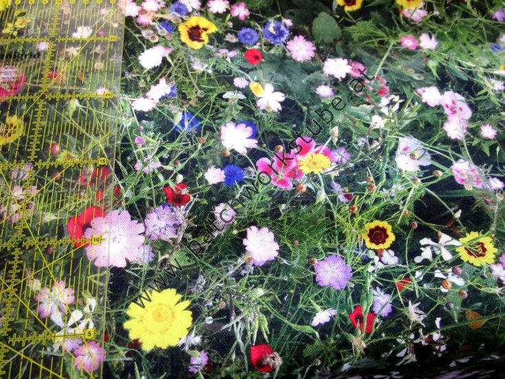 Baumwolle mit Blumen - zum Schließen ins Bild klicken
