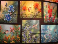 6 Blumenbilder mit Kolibris