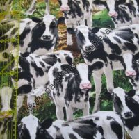 Bauernhof: Kühe