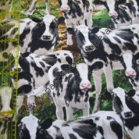 (Bild für) Bauernhof: Kühe