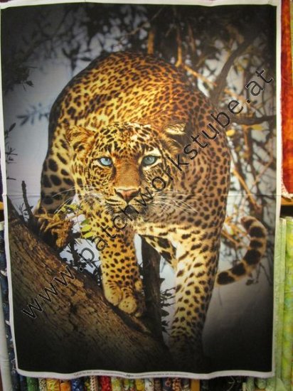 "Call of the Wild": Leopard Bild zum Schließen anclicken