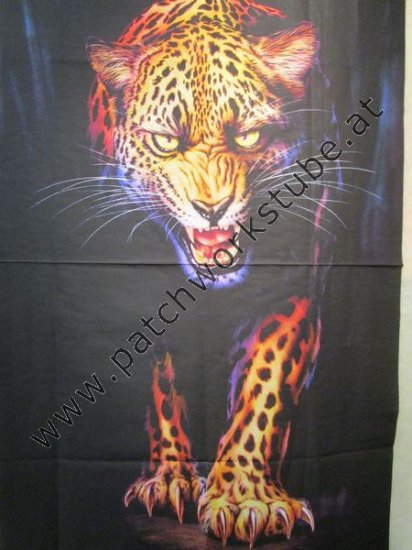 Animal Kingdom: Gepard - zum Schließen ins Bild klicken