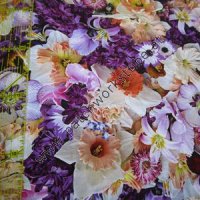 Bunte Frühlingsblüten Bunte Frühlingsblüten