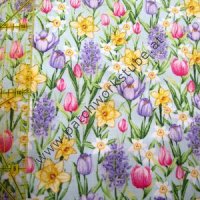 (Bild für) Frühlingsblüten